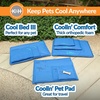 image:imageKampH Dog Cooling Mat Cool Bed III  Medium 32x22in Chill Blue  Orthopedic Cooling Mat For Dogs Indoor Outdoor Cooling Pad for Medium Pets Pet Bed for Homes Crates Yards PorchesLarge 44 X 32 Inches