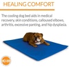 image:imageKampH Dog Cooling Mat Cool Bed III  Medium 32x22in Chill Blue  Orthopedic Cooling Mat For Dogs Indoor Outdoor Cooling Pad for Medium Pets Pet Bed for Homes Crates Yards PorchesMedium 32 X 22 Inches Pack of 6