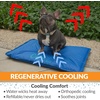 image:imageKampH Dog Cooling Mat Cool Bed III  Medium 32x22in Chill Blue  Orthopedic Cooling Mat For Dogs Indoor Outdoor Cooling Pad for Medium Pets Pet Bed for Homes Crates Yards PorchesLarge 44 X 32 Inches