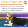 image:imageKampH Dog Cooling Mat Coolin Pet Pad  XLarge 38x27in Chill Blue  Portable Cooling Mat for Dogs Travel or in Home Perfect for Carriers Crates Outdoor Houses Yards Porches amp Pet BedsMedium 15 in x 20 in