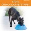 image:imageKampH Dog Water Bowl Coolin Pet Bowl Ice Cold Pet Dish 96 Ounces  Summer Cooling Water Bowl for Small Medium amp Large Dogs amp Cats Stays Cool and Fresh Insulated BPAfree Indoor Outdoor32 Ounces