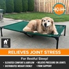 image:imageKampH Outdoor Elevated Dog Bed Cooling Raised Dog Bed Large 42x30in Green  Cool comfort outdoors large dog cot with hammock support washable dog bed metal frame quickdry meshGreen Mesh