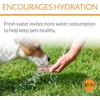 image:imageKampH Pet Products CleanFlow Filtered Water Bowl for Dogs Granite Medium 14 Gallon Bowl  1 Gallon Reservoir