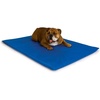 image:imageKampH Dog Cooling Mat Cool Bed III  Medium 32x22in Chill Blue  Orthopedic Cooling Mat For Dogs Indoor Outdoor Cooling Pad for Medium Pets Pet Bed for Homes Crates Yards PorchesMedium 32 X 22 Inches Pack of 6