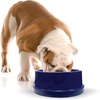 image:imageKampH Dog Water Bowl Coolin Pet Bowl Ice Cold Pet Dish 96 Ounces  Summer Cooling Water Bowl for Small Medium amp Large Dogs amp Cats Stays Cool and Fresh Insulated BPAfree Indoor Outdoor96 Ounces