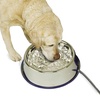 image:imageKampH Pet Products ThermalBowl Outdoor Heated Cat amp Dog Water Bowl Blue 96 Ounces102 Ounces
