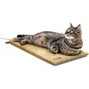 image:imageKampH Pet Products ThermoPet Mat Reversible Heated Pet Bed Mocha 14 X 28 InchesSage
