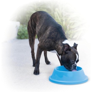 image:imageKampH Dog Water Bowl Coolin Pet Bowl Ice Cold Pet Dish 96 Ounces  Summer Cooling Water Bowl for Small Medium amp Large Dogs amp Cats Stays Cool and Fresh Insulated BPAfree Indoor Outdoor32 Ounces