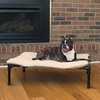 image:imageKampH Pet Products Original Elevated Pet Cot Tan with Microfleece PadChocolateBlack Mesh