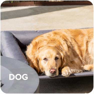 K&H Pet Products | Safe Heating & Cooling Pet Supplies，Create a Cozy Life for Your Pets