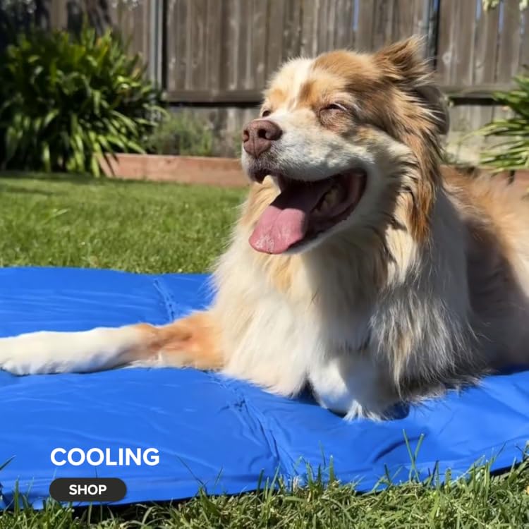 K&H Pet Products | Safe Heating & Cooling Pet Supplies，Create a Cozy Life for Your Pets