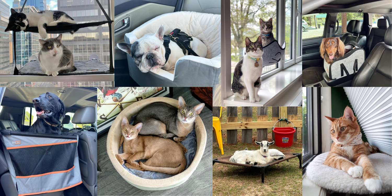 K&H Pet Products | Safe Heating & Cooling Pet Supplies，Create a Cozy Life for Your Pets